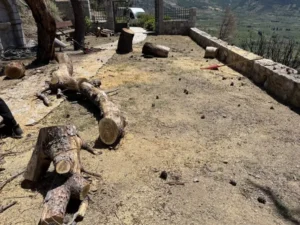 Όσιος Λουκάς 3 7TreeDragon