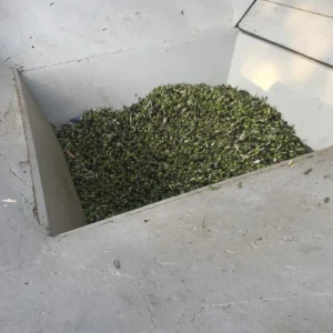 2TreeDragons Olive oil