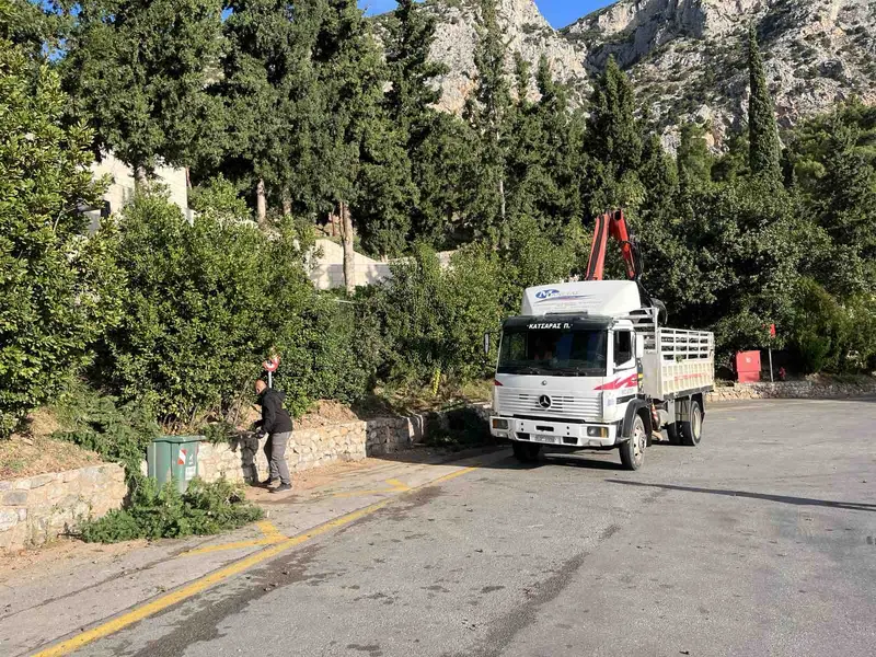 Επαγγελματική φροντίδα δέντρων,δασών,γεωργικών εκτάσεων,Εξειδικευμένες Υπηρεσίες Φροντίδας Δέντρων,Tree Dragon,Η No1 Επιλογή στην Ελλάδα,Εμπιστοσύνη,εμπειρία,επαγγελματισμός,Οι Υπηρεσίες μας,Απομάκρυνση κλαδιών &amp; υπολειμμάτων,Ξυλεία / Υλοτομία,Συγκομιδή Ελιάς &amp; Παραγωγή Ελαιολάδου,Εγκατάσταση Γκαζόν &amp; Έτοιμος Χλοοτάπητας,Αξιολόγηση Επικινδυνότητας δέντρων,Σχετικά με μας,Η Απόδειξη στην Εικόνα,Τα έργα μας,Μαρτυρίες πελατών,ΚΑΝΟΝΙΣΤΕ ΜΙΑ ΣΥΝΑΝΤΗΣΗ,treedragon,κανονίστε μια συνάντηση