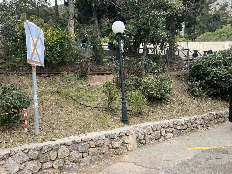 Επαγγελματική φροντίδα δέντρων,δασών,γεωργικών εκτάσεων,Εξειδικευμένες Υπηρεσίες Φροντίδας Δέντρων,Tree Dragon,Η No1 Επιλογή στην Ελλάδα,Εμπιστοσύνη,εμπειρία,επαγγελματισμός,Οι Υπηρεσίες μας,Απομάκρυνση κλαδιών &amp; υπολειμμάτων,Ξυλεία / Υλοτομία,Συγκομιδή Ελιάς &amp; Παραγωγή Ελαιολάδου,Εγκατάσταση Γκαζόν &amp; Έτοιμος Χλοοτάπητας,Αξιολόγηση Επικινδυνότητας δέντρων,Σχετικά με μας,Η Απόδειξη στην Εικόνα,Τα έργα μας,Μαρτυρίες πελατών,ΚΑΝΟΝΙΣΤΕ ΜΙΑ ΣΥΝΑΝΤΗΣΗ,treedragon,κανονίστε μια συνάντηση