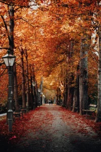 Fall