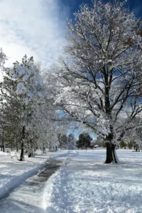 Winter